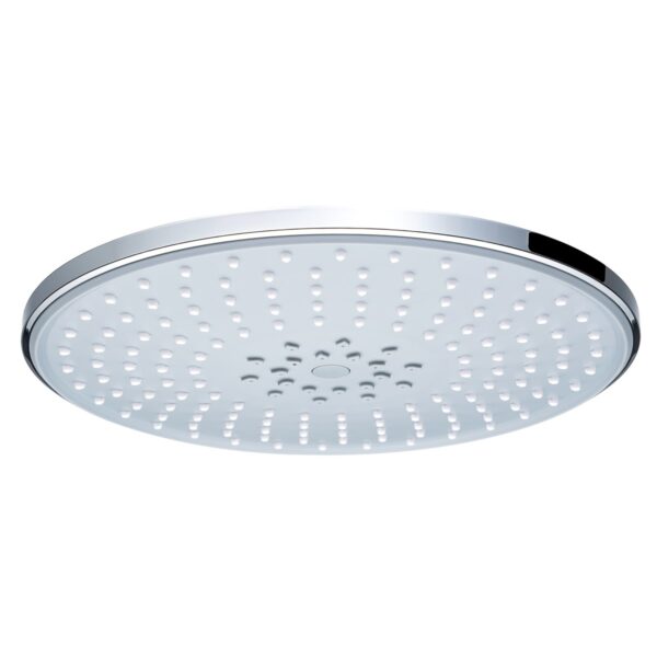Head Shower D104