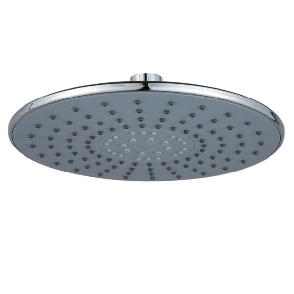Head Shower D121
